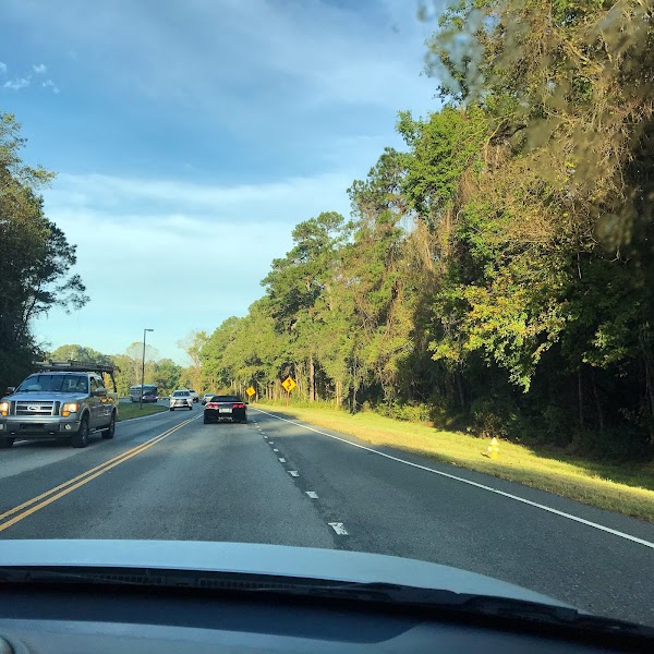 Collins Park - Image 2