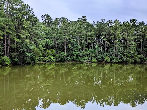 Northwoods Park - Image 3