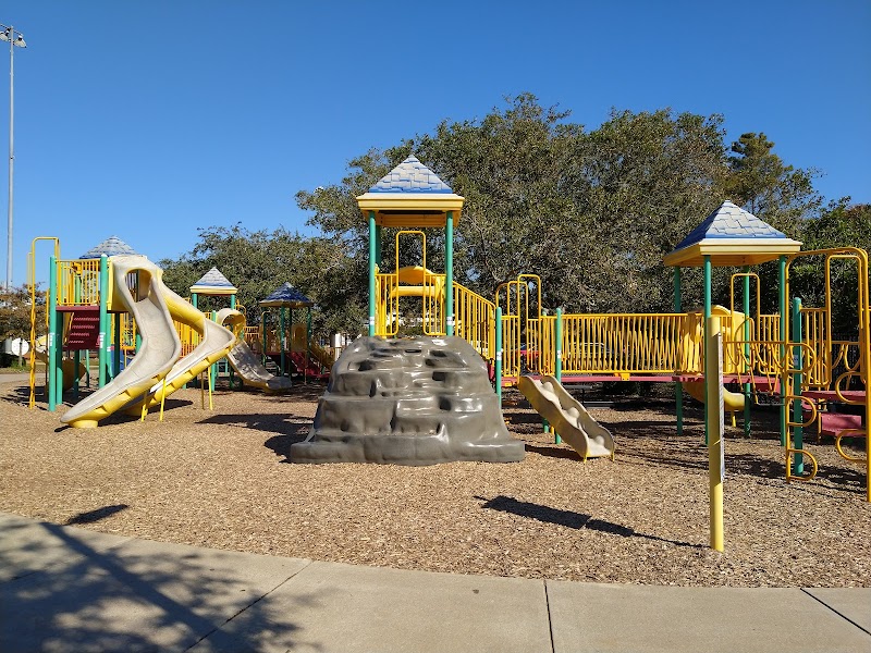 Central Park - Image 3