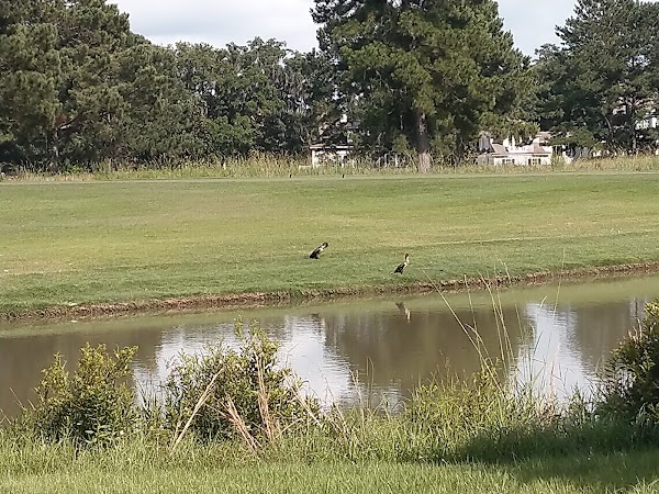 Oldfield Sports Club - Image 2