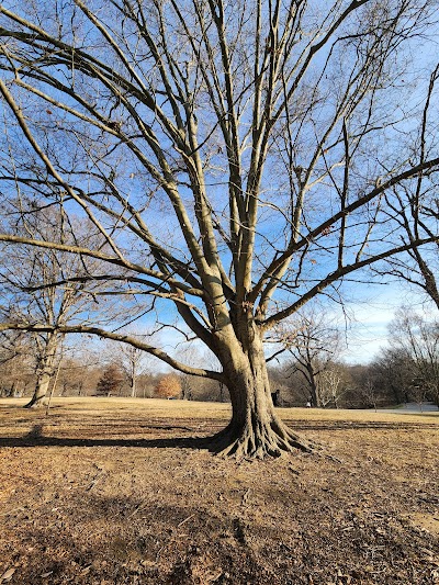 Cherokee Park Basketball Court - Image 2