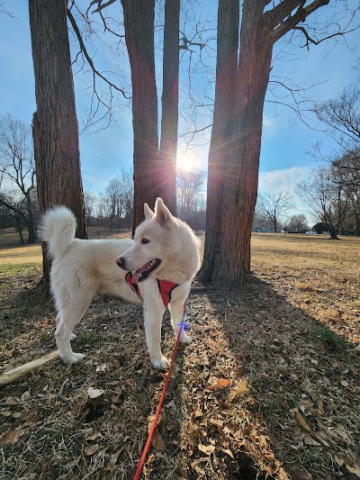Cherokee Park Basketball Court - Image 3