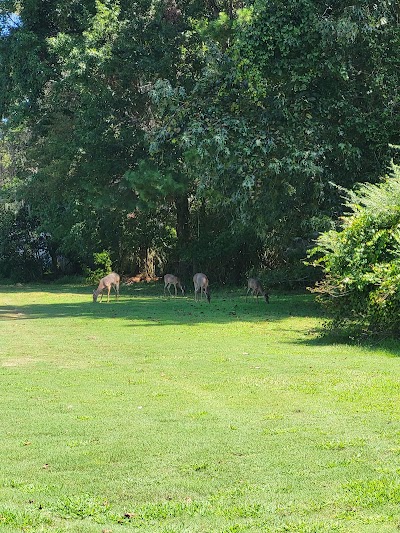 Summerville Country Club - Image 3