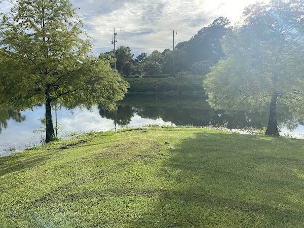 Palmetto Tennis Center - Image 2