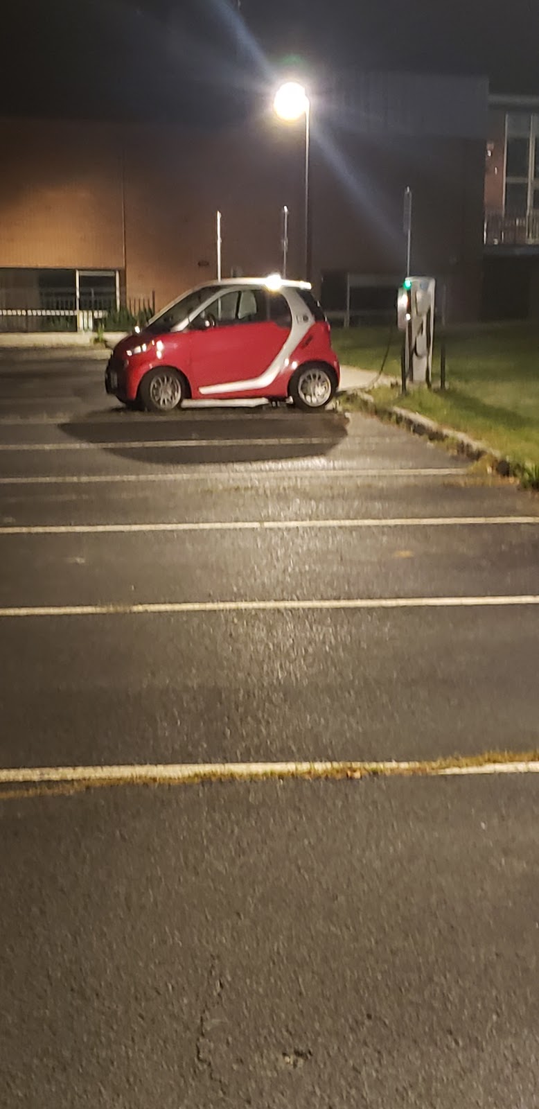 Wilton Parks & Recreation Department thumbnail