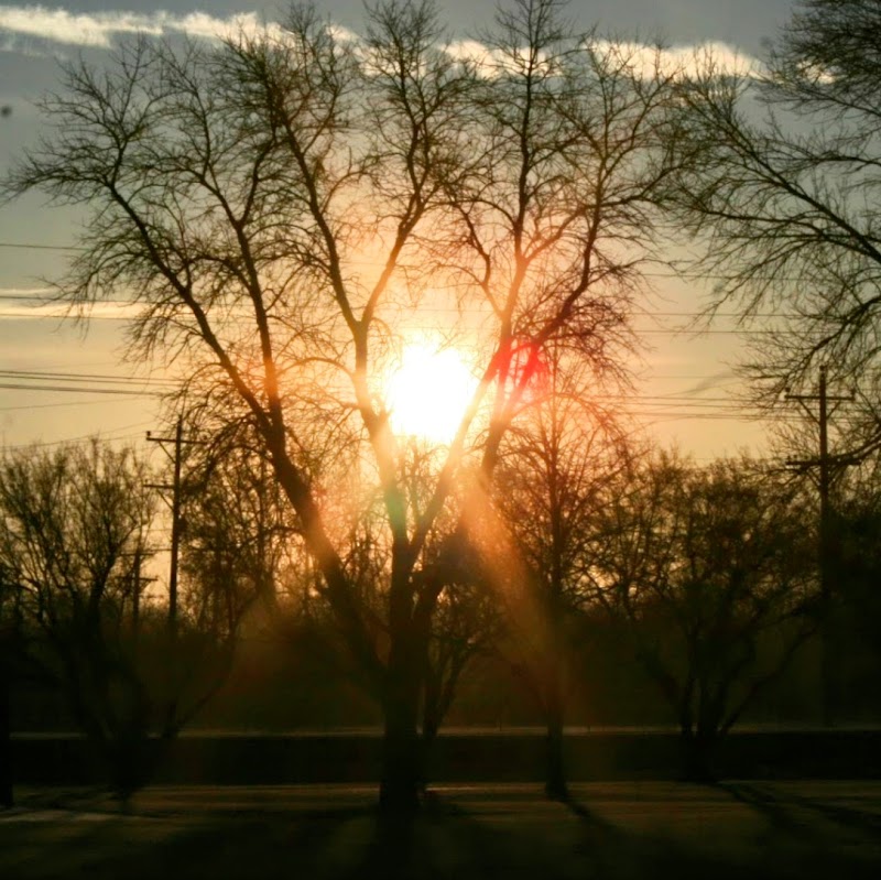 Browne Park - Image 3