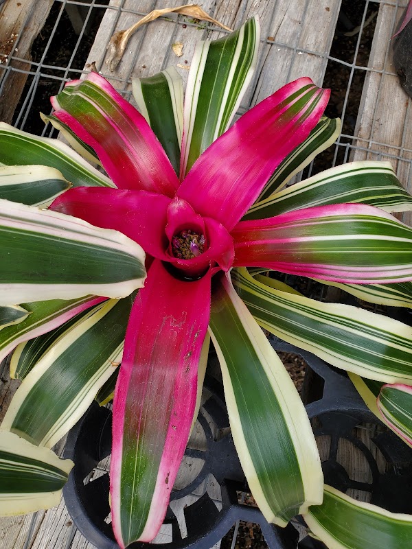 Dwiggins-Medary Park - Image 2