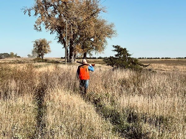 Big Shot Pheasant Lodge - Image 3