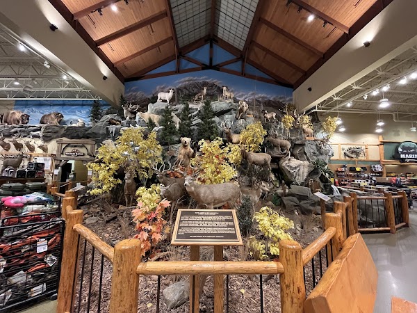 Bass Pro Shops - Image 2