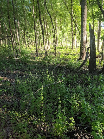 Riverdale Park - Image 3