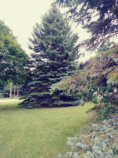 Lewis Park thumbnail