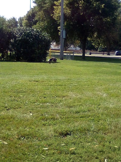 Vermillion Parks and Recreation - Image 2