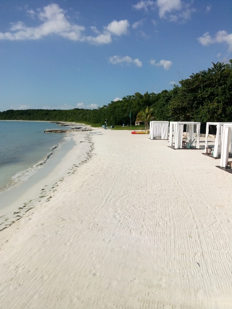 Pickleball Travel - Image 3