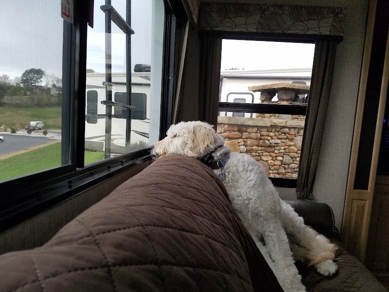 Anchor Down Rv Resort - Image 3