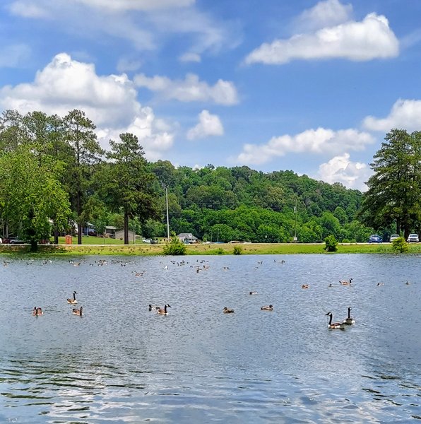 Pendegrass Park thumbnail