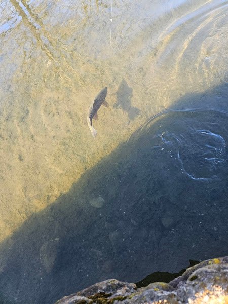 Fishery Park thumbnail