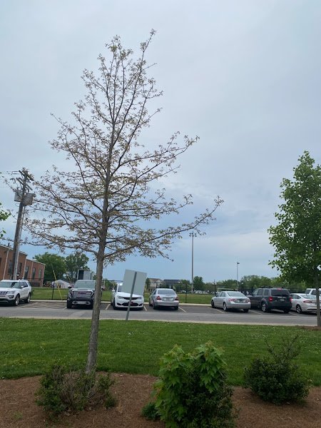 Academy Park - Image 3