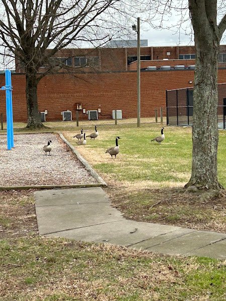 Riverview Park - Image 2