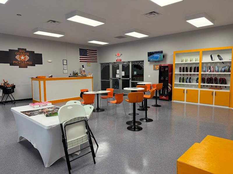 Big Orange Pickleball - Image 3