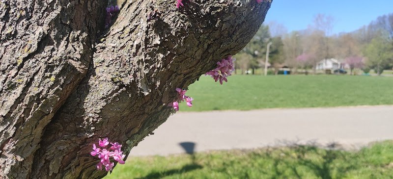 Sam Duff Memorial Park - Image 3