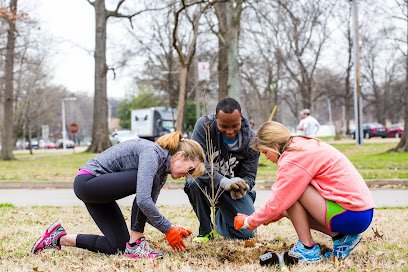Overton Park Conservancy thumbnail