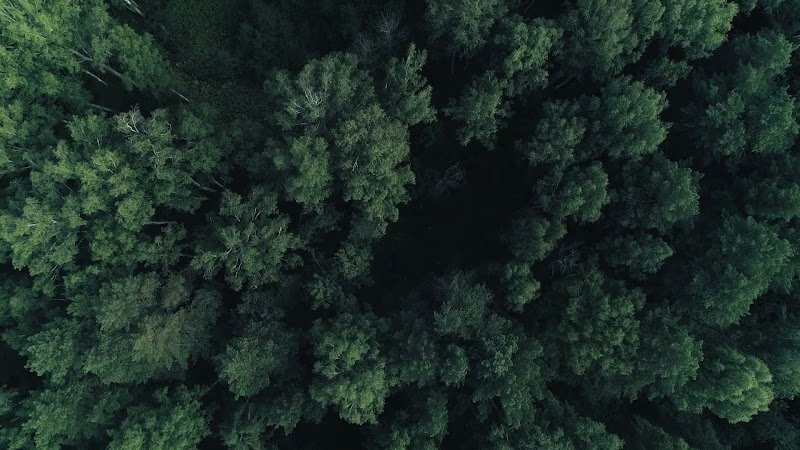 Morristown Landing - Image 2