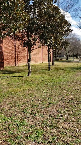 Hermitage Community Center - Image 2