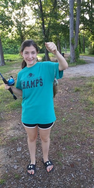 Soddy Daisy Park Bird Sanctuary thumbnail