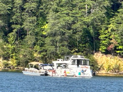 Holly Park thumbnail