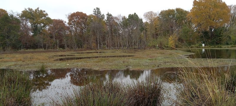 Cain Center Tennis - Image 2