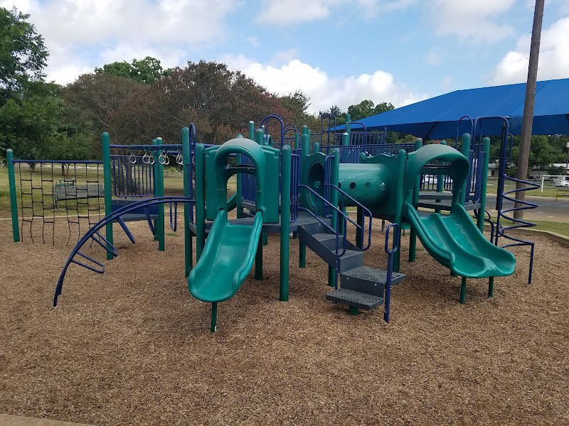 Little Zilker Park - Image 3