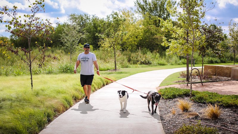 Light Farms thumbnail