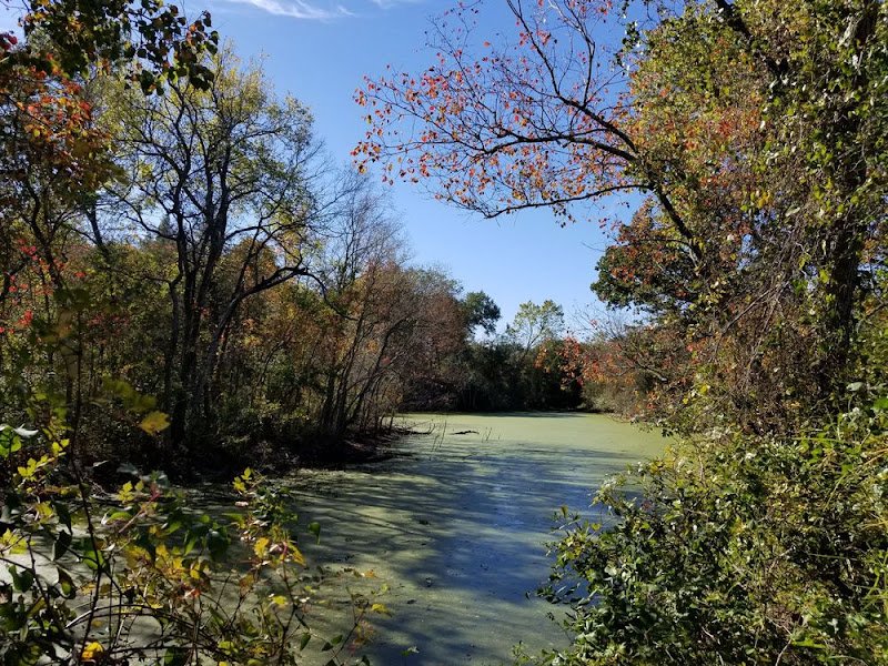 Bee Creek Park thumbnail