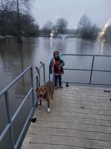 Central Park Basketball Court thumbnail
