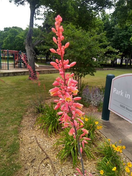 Park In The Woods - Image 2