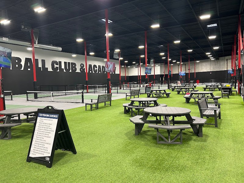Elite Pickleball Club - Image 1
