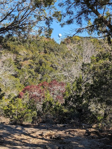 Rose Racquet Club - Image 3