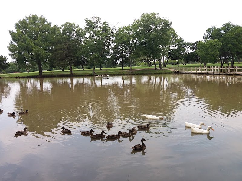 Westlake Sports Center - Image 2