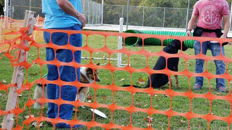 Banita Creek Park - Image 2