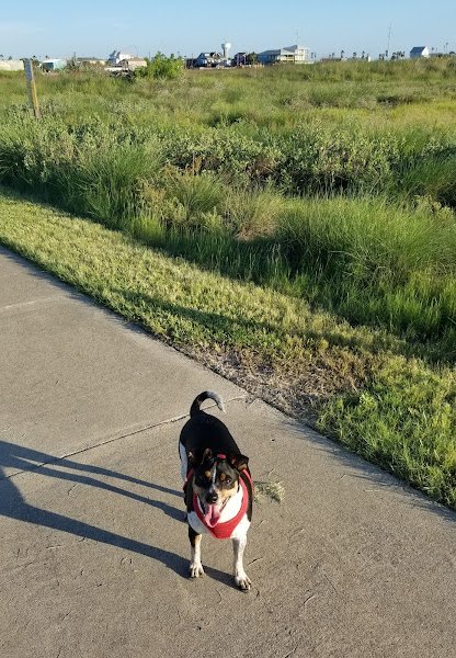 Port Aransas Community Park - Image 3