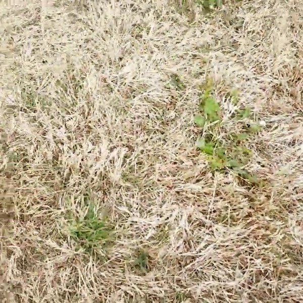 Herfurth Park - Image 2