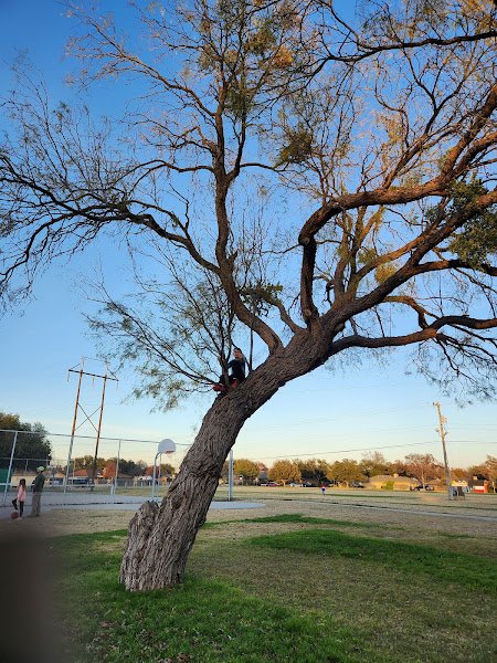 Meadowcreek Park - Image 3