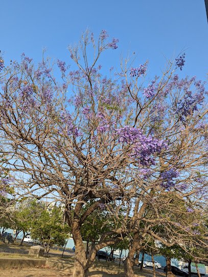 Fuping Park thumbnail