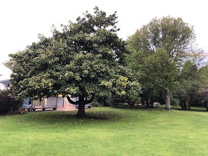 East Coast Bays Leisure Centre thumbnail