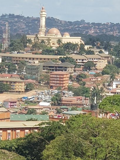 Mary Stuart Hall thumbnail