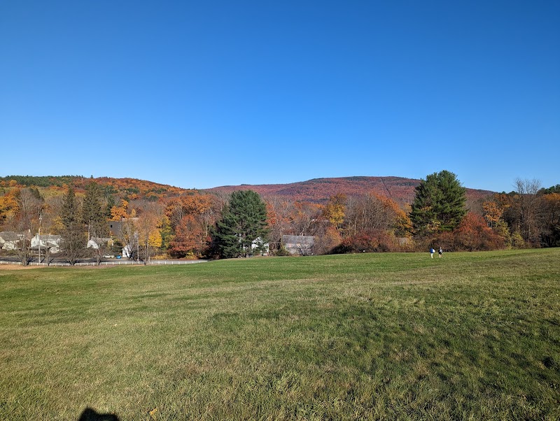 Living Memorial Park - Image 3