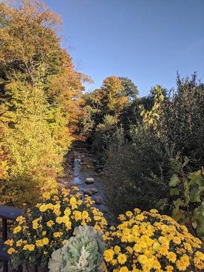 Living Memorial Park Swimming Pool - Image 3