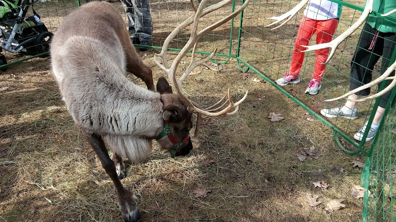 Robert Miller Community & Recreation Center - Image 2