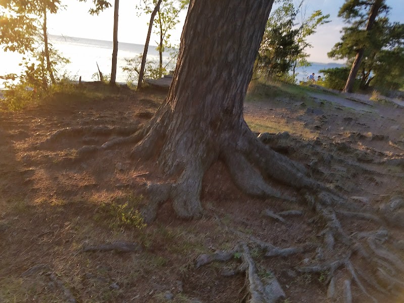Oakledge Tennis Courts - Image 3