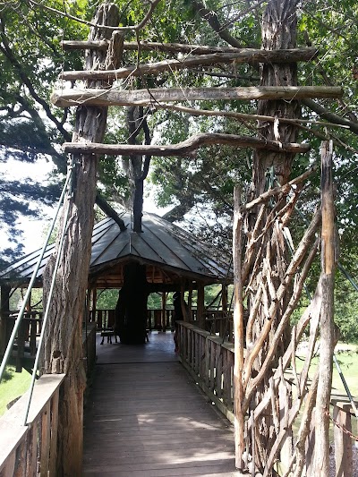 City of Burlington Parks, Recreation & Waterfront thumbnail